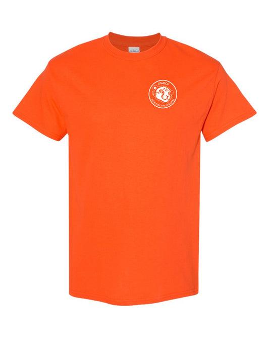 1st Grade Spirit Color - Adult Tees