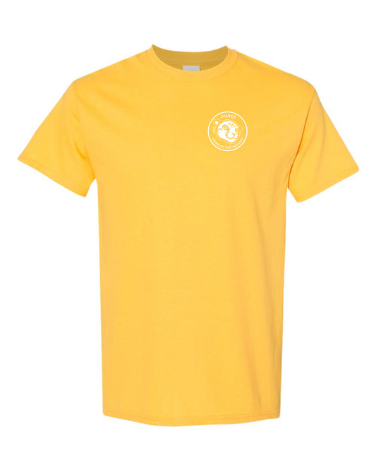 2nd Grade Spirit Color - Adult Tees