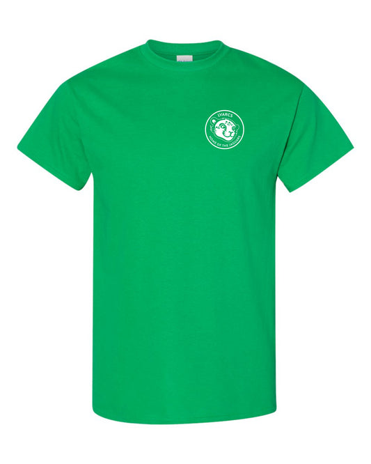 3rd Grade Spirit Color - Adult Tees