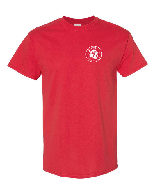4th Grade Spirit Color - Adult Tees